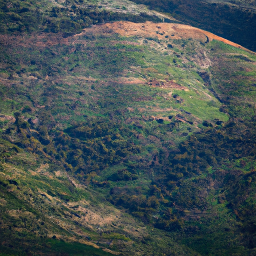מבט אווירי על הרי הגלבוע המוריק, המציג את יופיו הטבעי של האזור